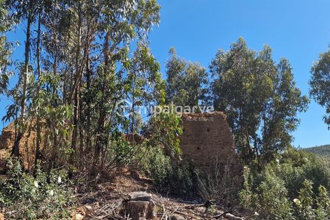 Helårsgrund i Silves, Faro, Silves - € 350.000 | Ref: TACM2668E - foto 12