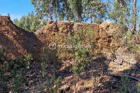 Helårsgrund i Silves, Faro, Silves - € 350.000 | Ref: TACM2668E - foto 14
