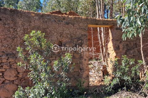 Helårsgrund i Silves, Faro, Silves - € 350.000 | Ref: TACM2668E - foto 15