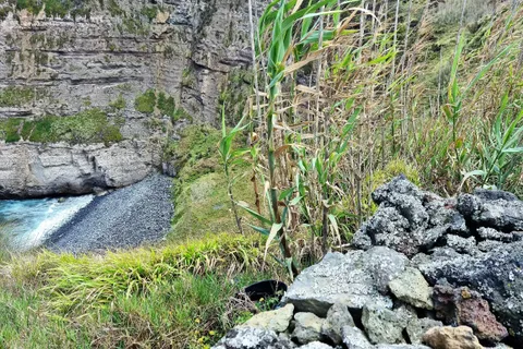 Terra a Rabo de Peixe, Sao Miguel, Rabo de Peixe - € 550.000 | Ref: C0276-01839 - foto 13