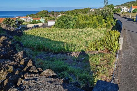 Terra a Sao Mateus, Pico, Sao Mateus - € 57.900 | Ref: C0276-02275 - foto 3