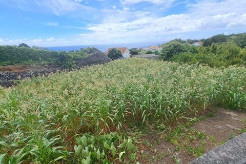 Terra a Sao Mateus, Pico, Sao Mateus - € 57.900 | Ref: C0276-02275 - foto 4