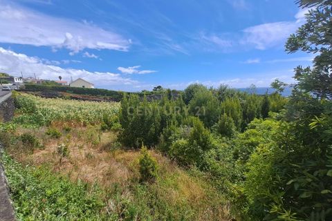 Terra a Sao Mateus, Pico, Sao Mateus - € 57.900 | Ref: C0276-02275 - foto 5