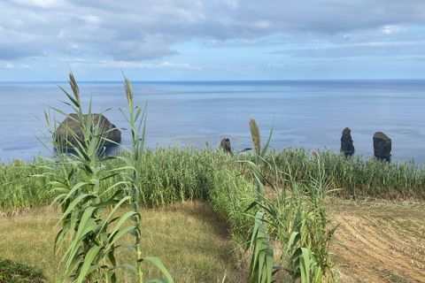 Terra a Mosteiros, Sao Miguel, Mosteiros - € 370.000 | Ref: C0276-02216 - foto 3
