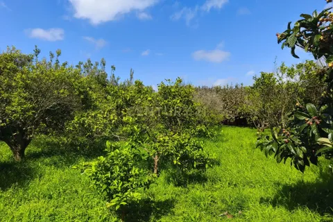 Villa i Ponta Delgada, Sao Miguel, Ponta Delgada - € 2.000.000 | Ref: C0276-02342 - foto 8
