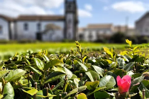 Villa i Ponta Delgada, Sao Miguel, Ponta Delgada - € 2.000.000 | Ref: C0276-02342 - foto 23