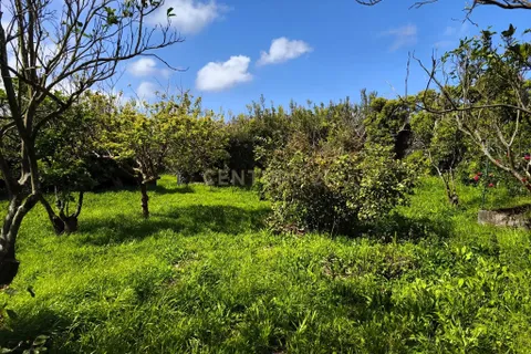Villa i Ponta Delgada, Sao Miguel, Ponta Delgada - € 2.000.000 | Ref: C0276-02342 - foto 32