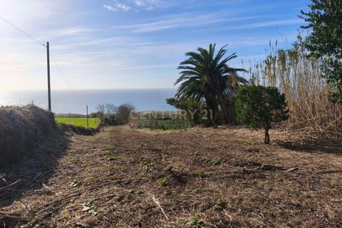 Terra a Ginetes, Sao Miguel, Ginetes - € 160.000 | Ref: C0276-02544 - foto 4