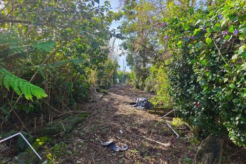 Terra a Ginetes, Sao Miguel, Ginetes - € 160.000 | Ref: C0276-02544 - foto 5
