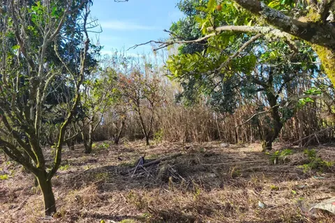 Terra a Ginetes, Sao Miguel, Ginetes - € 160.000 | Ref: C0276-02544 - foto 9