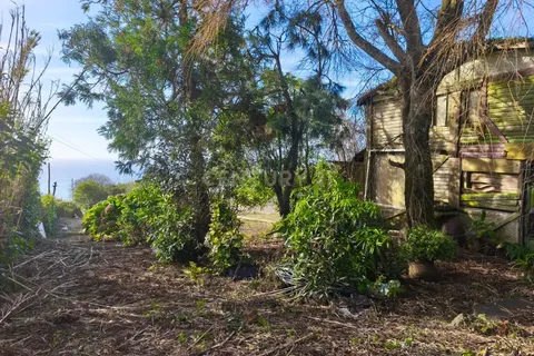 Terra a Ginetes, Sao Miguel, Ginetes - € 160.000 | Ref: C0276-02544 - foto 10