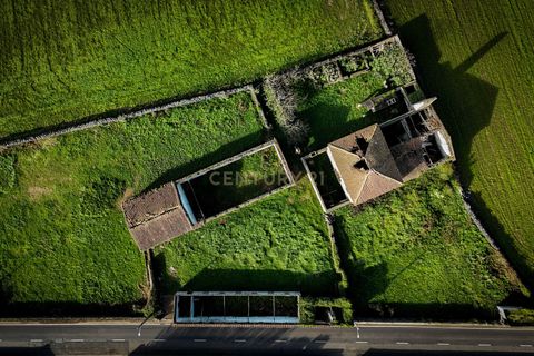 Terra a Ribeira Seca, Sao Miguel, Ribeira Seca - € 5.650.000 | Ref: C0276-02582 - foto 4
