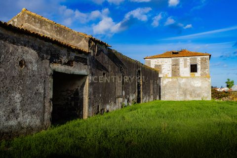 Terra a Ribeira Seca, Sao Miguel, Ribeira Seca - € 5.650.000 | Ref: C0276-02582 - foto 7