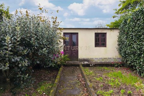 Villa i Arrifes, Sao Miguel, Arrifes - € 310.000 | Ref: C0276-02708 - foto 5