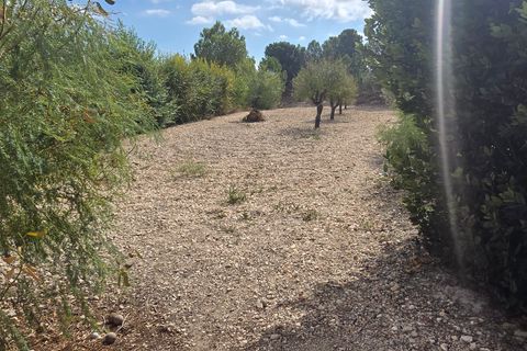 Landejendom i Sax, Alicante, Sax - € 349.950 | Ref: Two for one - foto 14
