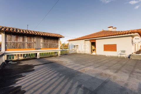Erhvervsejendom i Barcelos, Braga, Barcelos - € 350.000 | Ref: ZMPT588086 - foto 8
