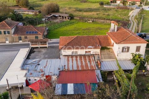 Erhvervsejendom i Barcelos, Braga, Barcelos - € 350.000 | Ref: ZMPT588086 - foto 33