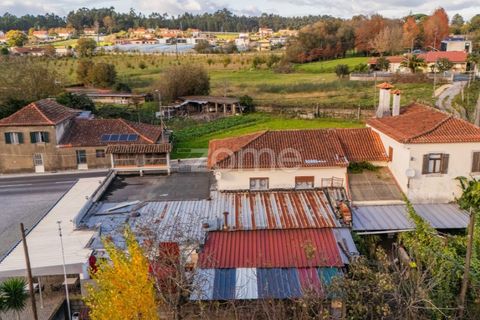 Erhvervsejendom i Barcelos, Braga, Barcelos - € 350.000 | Ref: ZMPT588086 - foto 34