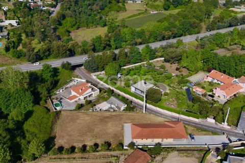 Helårsgrund i Santo Tirso, Porto, Santo Tirso - € 89.000 | Ref: ZMPT588039 - foto 15