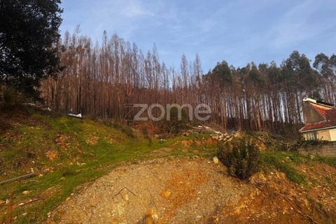 Terra a Melres e Medas, Porto, Melres e Medas - € 65.000 | Ref: ZMPT584759 - foto 4