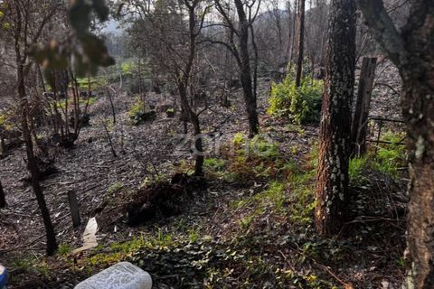 Terra a Melres e Medas, Porto, Melres e Medas - € 65.000 | Ref: ZMPT584759 - foto 6