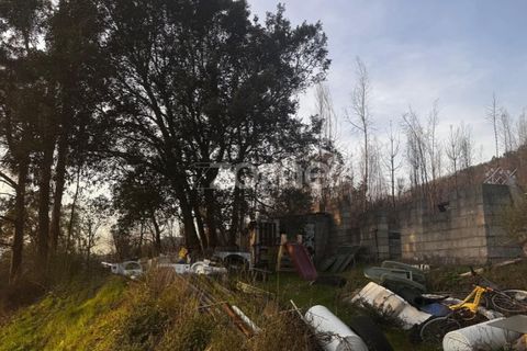 Terra a Melres e Medas, Porto, Melres e Medas - € 65.000 | Ref: ZMPT584759 - foto 10