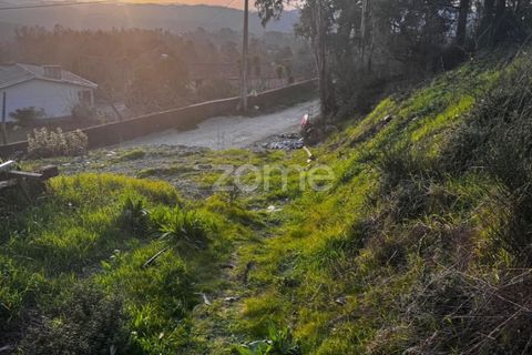 Terra a Melres e Medas, Porto, Melres e Medas - € 65.000 | Ref: ZMPT584759 - foto 18