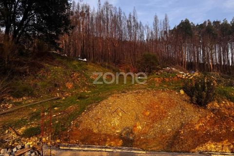 Terra a Melres e Medas, Porto, Melres e Medas - € 65.000 | Ref: ZMPT584759 - foto 22