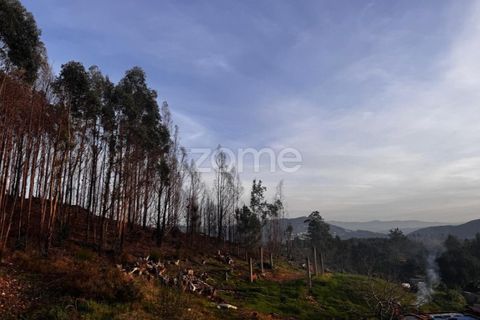 Terra a Melres e Medas, Porto, Melres e Medas - € 65.000 | Ref: ZMPT584759 - foto 23