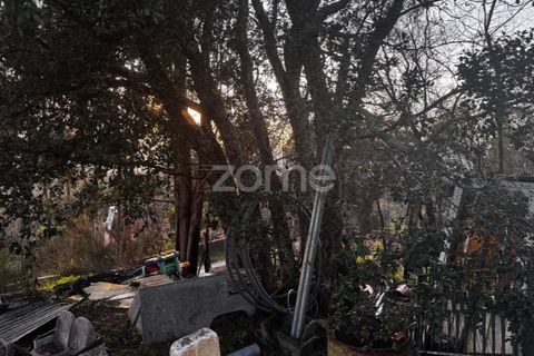 Terra a Melres e Medas, Porto, Melres e Medas - € 65.000 | Ref: ZMPT584759 - foto 25