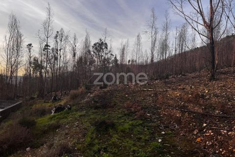 Terra a Melres e Medas, Porto, Melres e Medas - € 65.000 | Ref: ZMPT584759 - foto 13