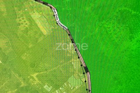 Terra a Melres e Medas, Porto, Melres e Medas - € 65.000 | Ref: ZMPT584759 - foto 2