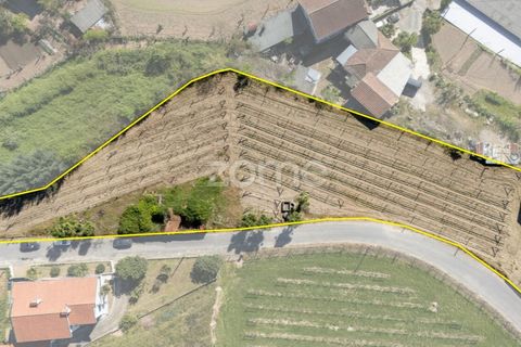 Villa i Vila do Conde, Porto, Vila do Conde - € 100.000 | Ref: ZMPT587653 - foto 4