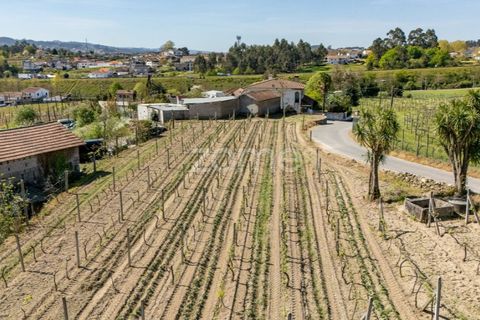 Villa i Vila do Conde, Porto, Vila do Conde - € 100.000 | Ref: ZMPT587653 - foto 6