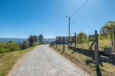 Farm i Paredes, Porto, Paredes - € 299.000 | Ref: ZMPT587872 - foto 1