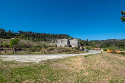 Farm i Paredes, Porto, Paredes - € 299.000 | Ref: ZMPT587872 - foto 18