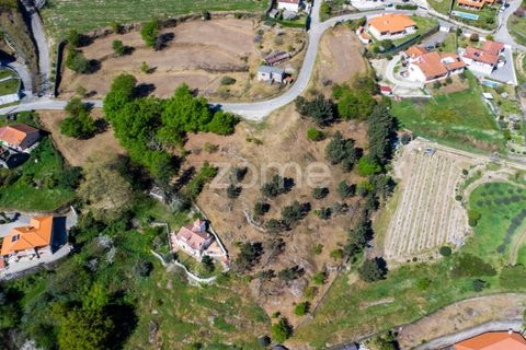 Farm i Paredes, Porto, Paredes - € 299.000 | Ref: ZMPT587872 - foto 4