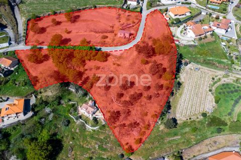 Farm i Paredes, Porto, Paredes - € 299.000 | Ref: ZMPT587872 - foto 5
