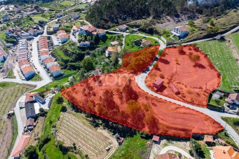Farm i Paredes, Porto, Paredes - € 299.000 | Ref: ZMPT587872 - foto 6