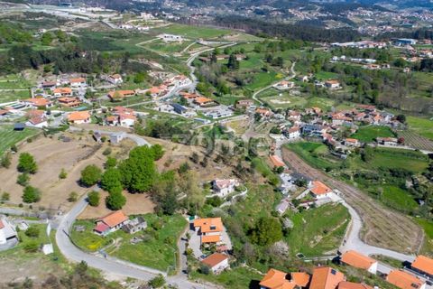 Farm i Paredes, Porto, Paredes - € 299.000 | Ref: ZMPT587872 - foto 19