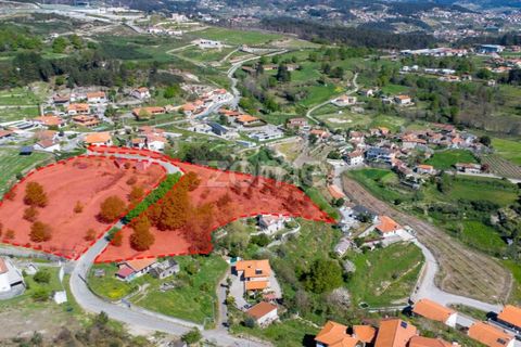 Farm i Paredes, Porto, Paredes - € 299.000 | Ref: ZMPT587872 - foto 8
