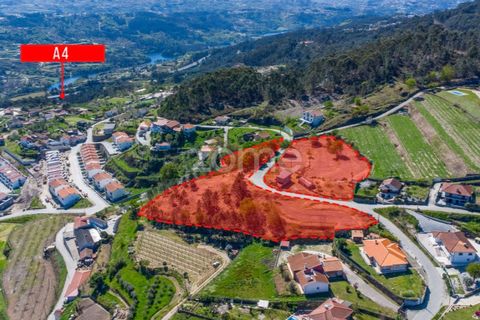 Farm i Paredes, Porto, Paredes - € 299.000 | Ref: ZMPT587872 - foto 20