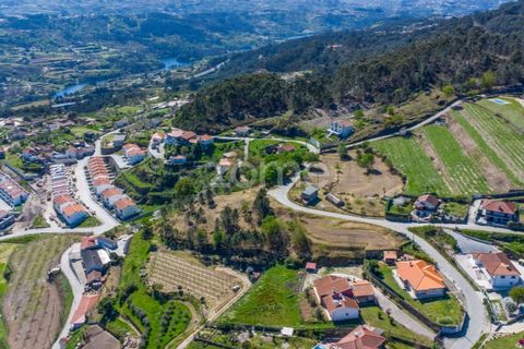 Farm i Paredes, Porto, Paredes - € 299.000 | Ref: ZMPT587872 - foto 21