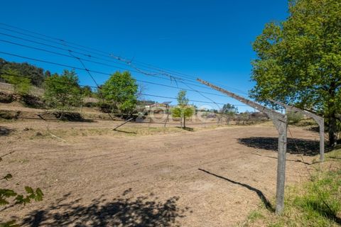 Farm i Paredes, Porto, Paredes - € 299.000 | Ref: ZMPT587872 - foto 23