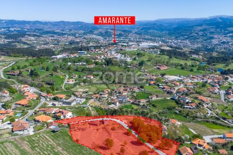 Farm i Paredes, Porto, Paredes - € 299.000 | Ref: ZMPT587872 - foto 24