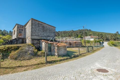 Farm i Paredes, Porto, Paredes - € 299.000 | Ref: ZMPT587872 - foto 10