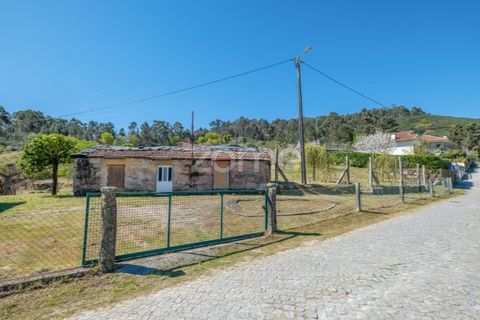 Farm i Paredes, Porto, Paredes - € 299.000 | Ref: ZMPT587872 - foto 15