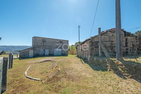 Farm i Paredes, Porto, Paredes - € 299.000 | Ref: ZMPT587872 - foto 16