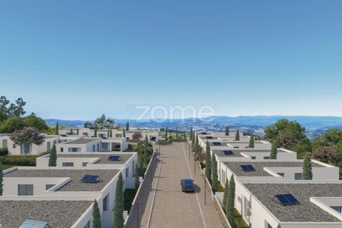 Farm i Paredes, Porto, Paredes - € 299.000 | Ref: ZMPT587872 - foto 3