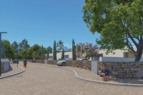 Farm i Paredes, Porto, Paredes - € 299.000 | Ref: ZMPT587872 - foto 11
